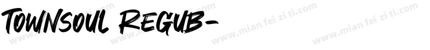 Townsoul Regub字体转换